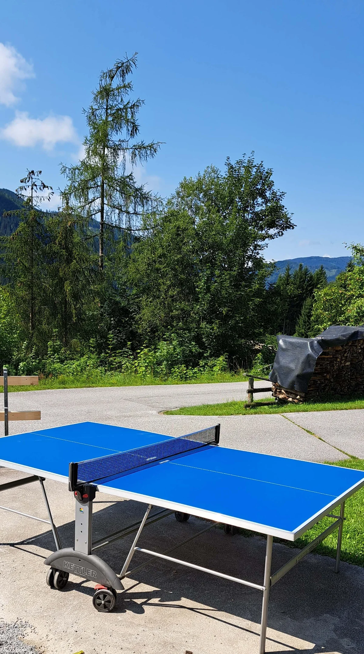 Tischtennis-Tisch im Garten