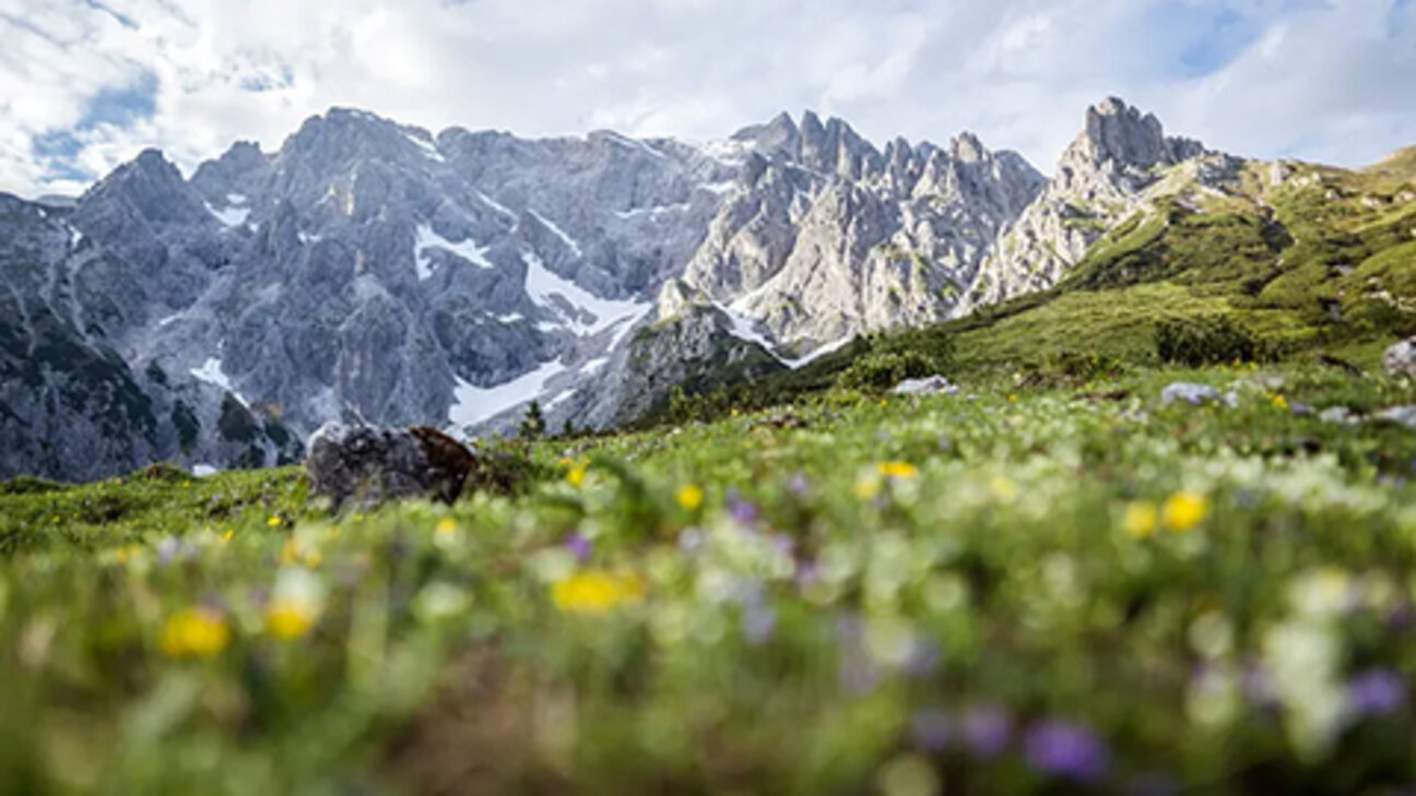 Bischofshofen im Frühling am Hochkönig