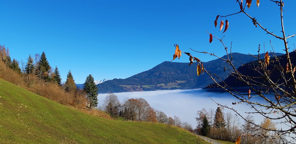 Aussicht auf Gründeck