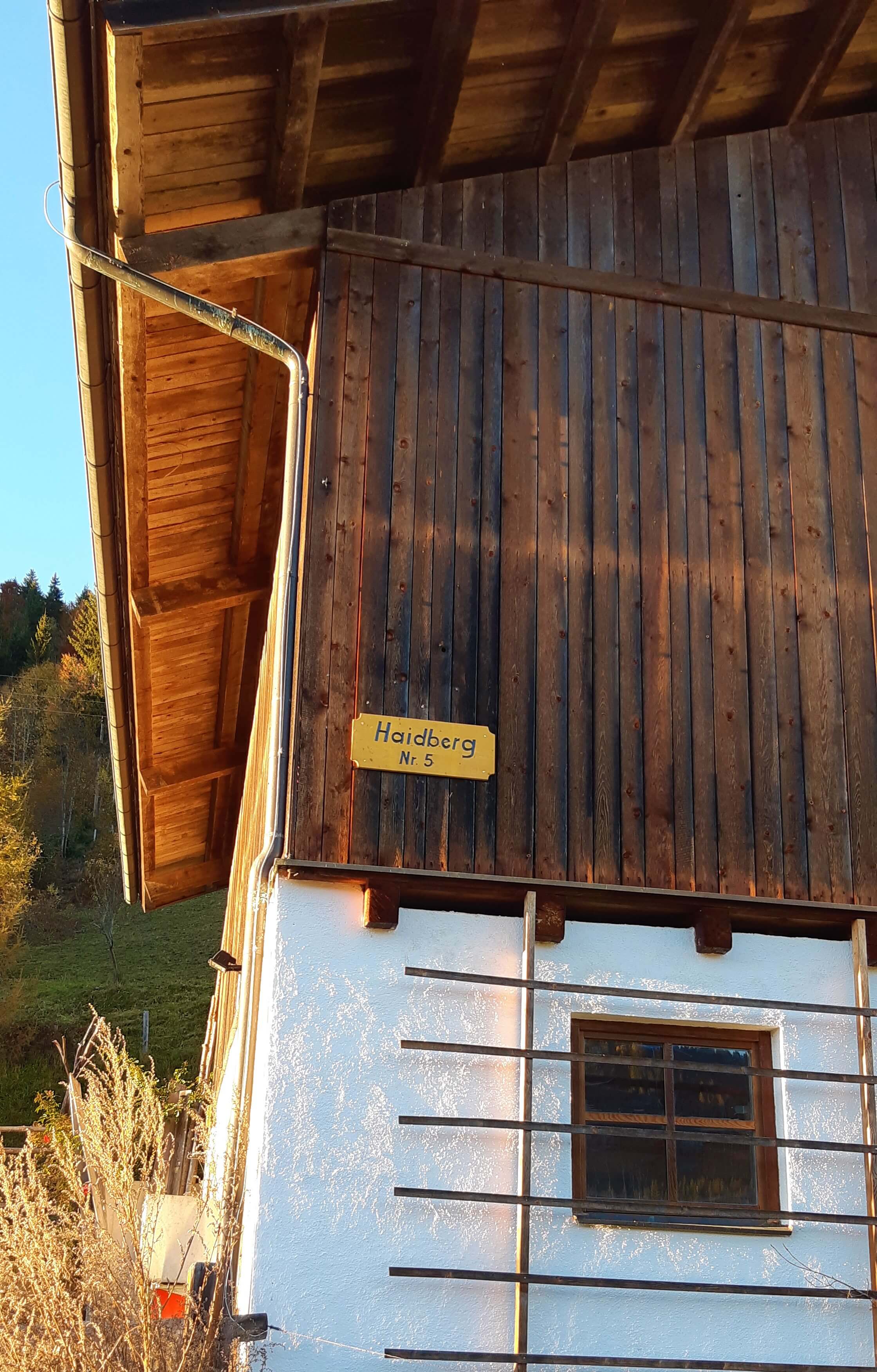 Ferienwohnung im Salzburger Land