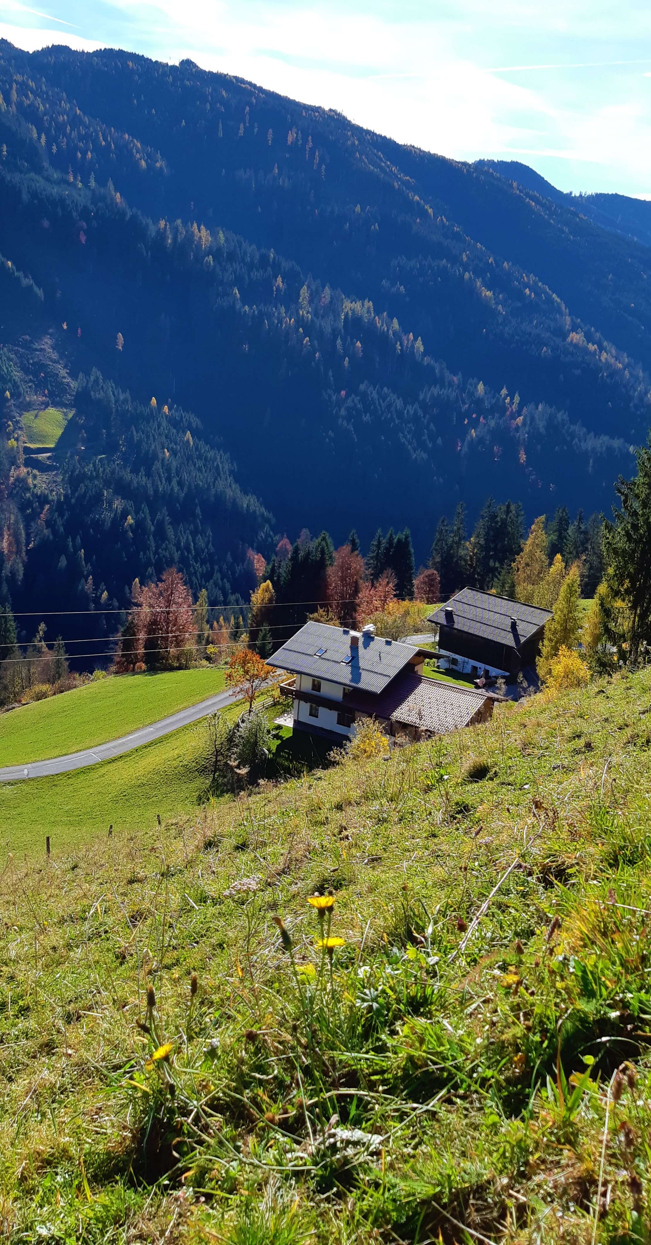 Blick von oben am Hang auf die Ferienwohnung