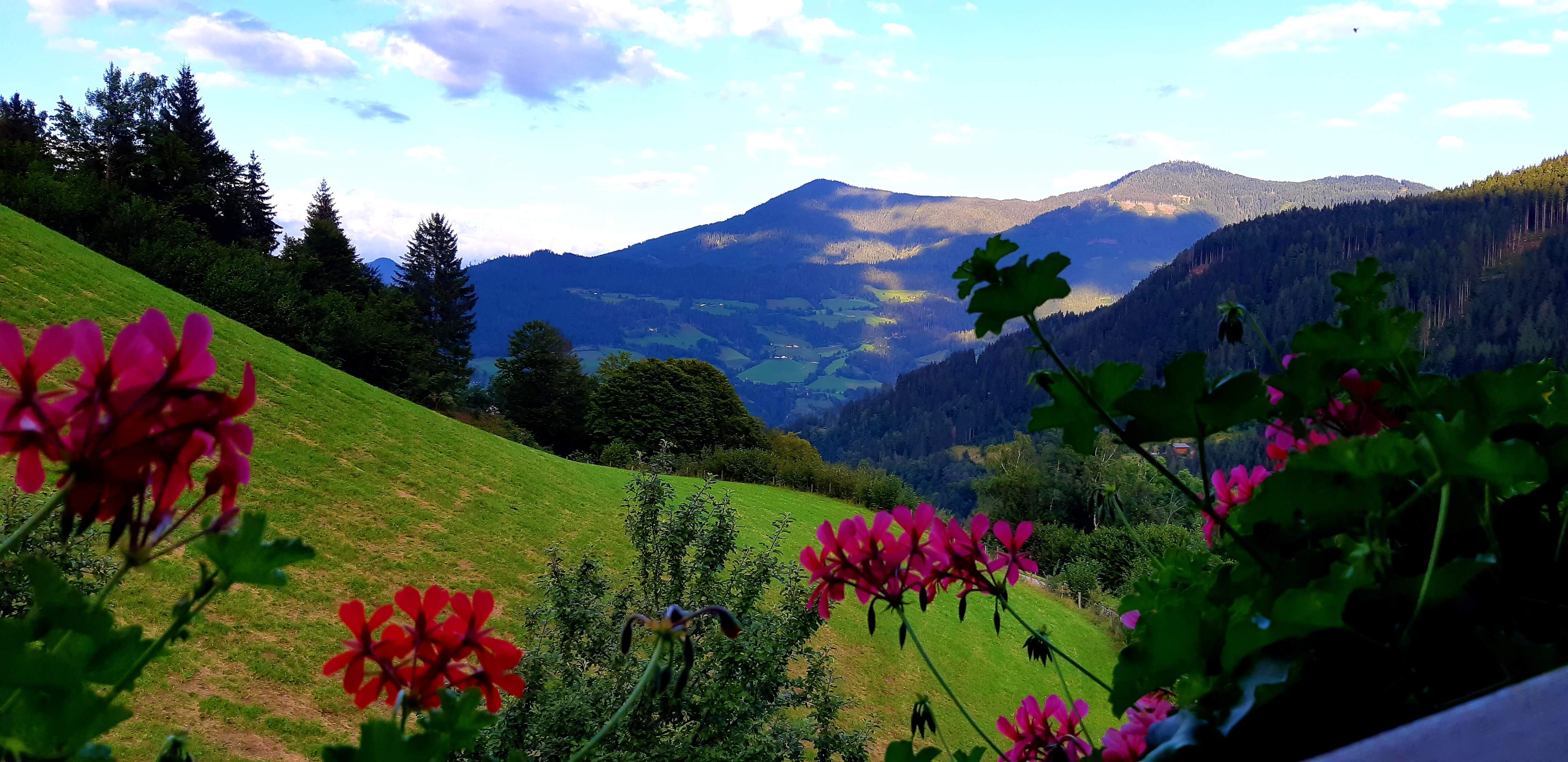 Blick vom Balkon auf die malerische Landschaft