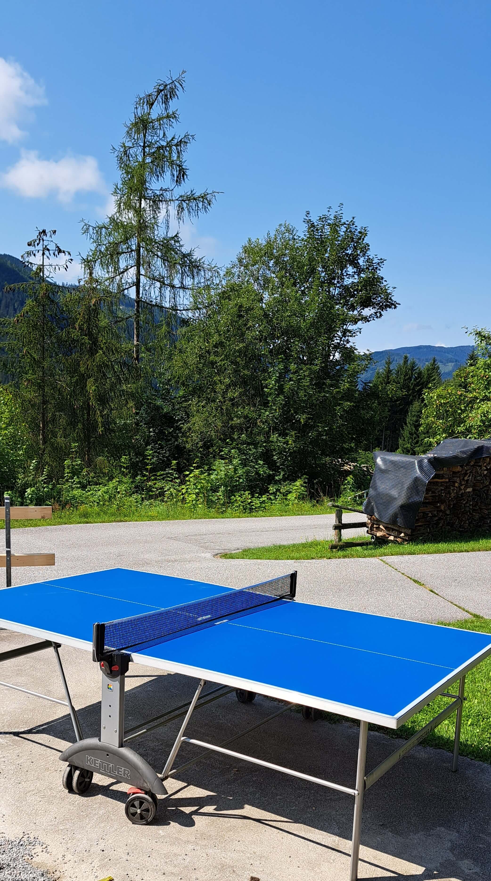 Tischtennis-Tisch im Garten